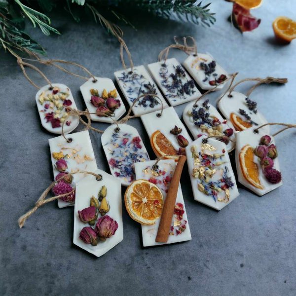 bc380243-ee58-4e1a-aa69-48e2518f8c50